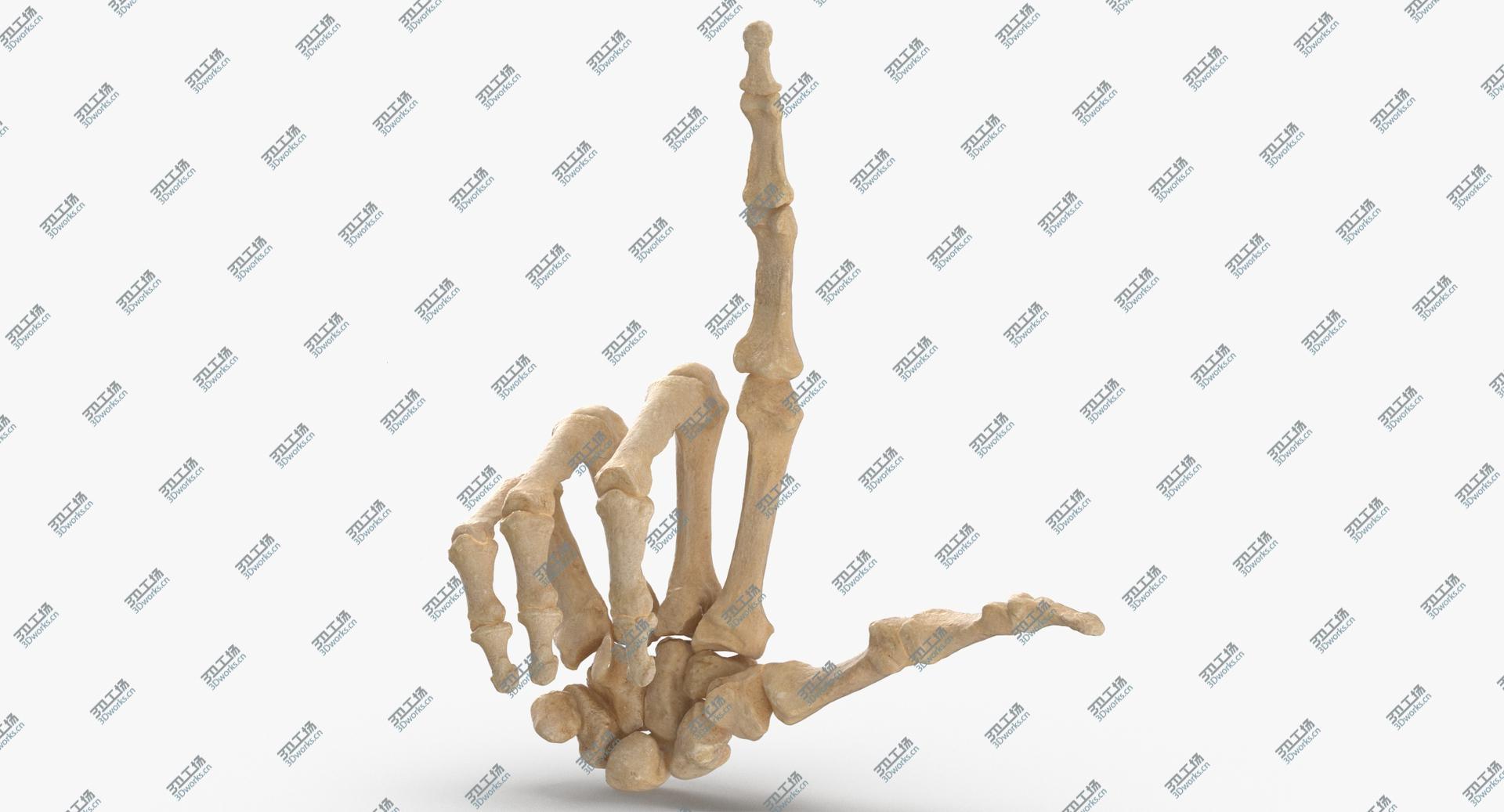 images/goods_img/2021040234/3D Real Human Hand Bones Loser Sign/1.jpg